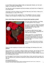 5.Dezember-Seite4.pdf